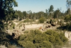 1990-Collie-Exercise-2