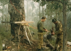 1990-Collie-Exercise-4
