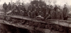 1990-Demolishing-bridge-Collie