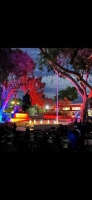 IMG_6294-Copy