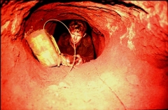 2-troop-tunnels-placing-a-charge-71