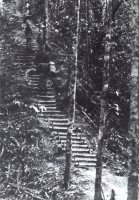 Golden-Stairs-New-Guinea