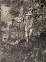New-Guinea-Wau-Bulldog-Road-2